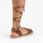 arena